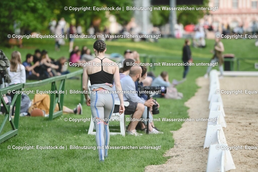 D78_3346 | equistock