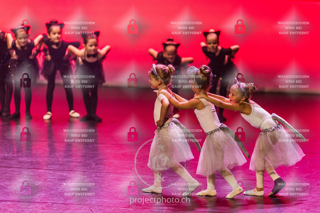 EXPORT_FULL-1-15 | projectphoto - Realisiert mit Pictrs.com