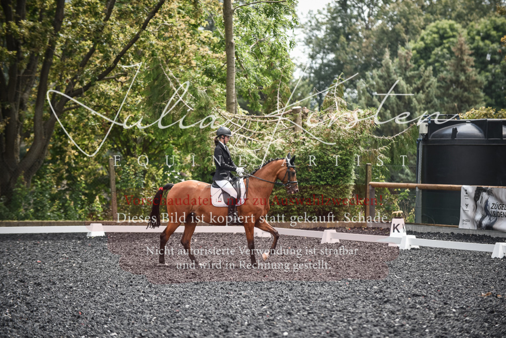 DSC_4372 | Pferde- und Turnierfotografie in Westsachsen. Pferdeportraits, Auftragszeichnungen und intuitive Kunst.
