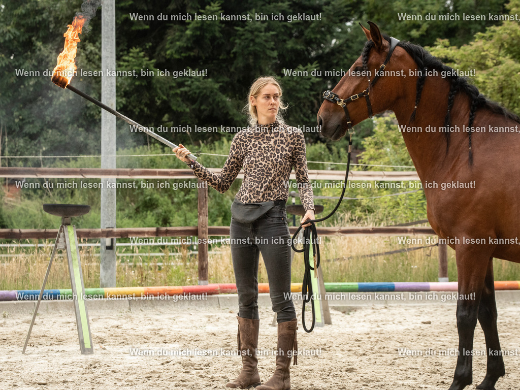 598A7611 | photographylinaismer - Realisiert mit Pictrs.com