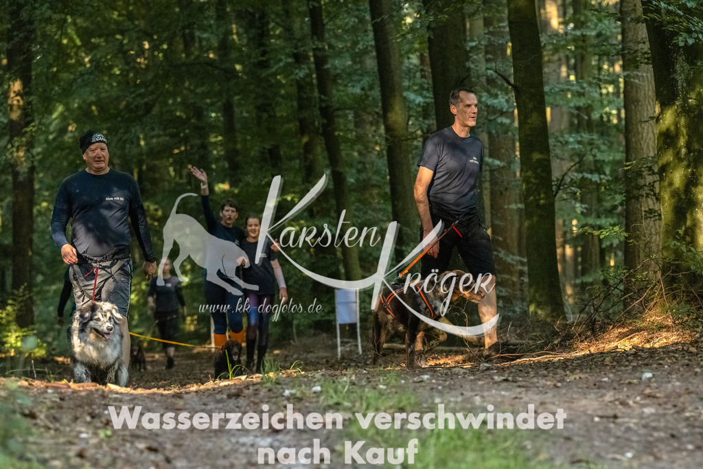 0946_ZZ91852-Bearbeitet | kk-dogfotos
