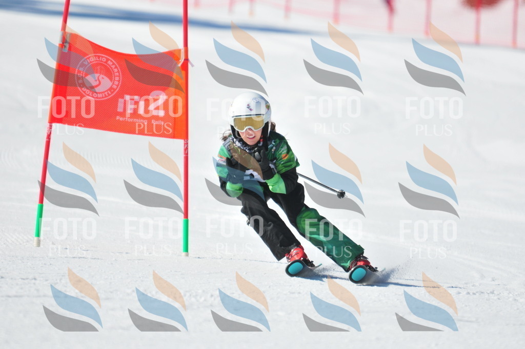 C3270 | holidayphoto