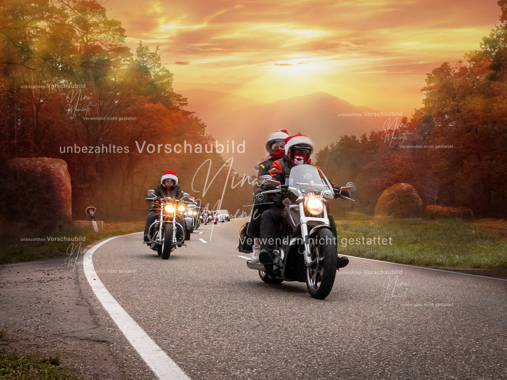 _16A2908-1 | Einzigartige Fotos von Hunden & Menschen –Actionfotos, Portraits, Vereinsaufnahmen & Paarshootings – authentisch, lebendig & mit Herz.