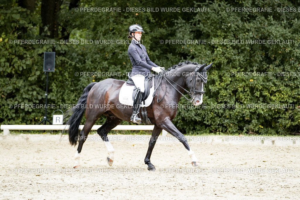 DSC06045 | Pferdegrafie