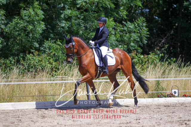 DKP46519 | Turniersportfotografie; Pferdefotografie; Dressurfotografie