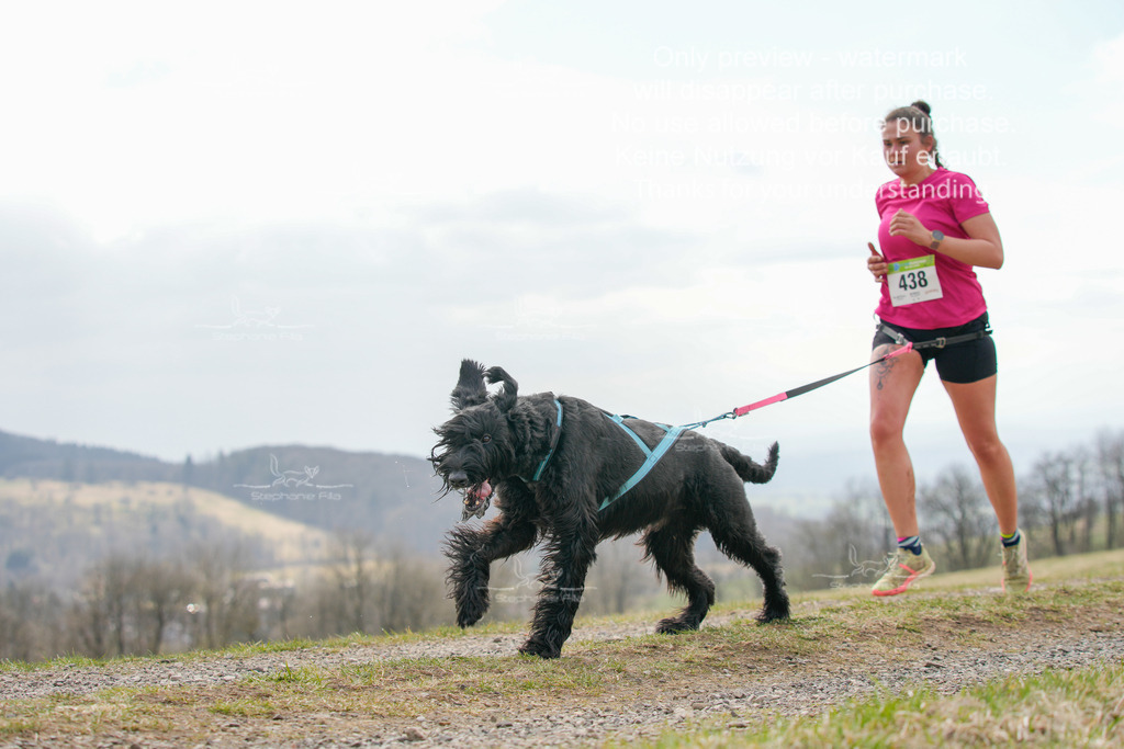 CaniXRunSA-217 | stephaniefillaphotographie - Realisiert mit Pictrs.com