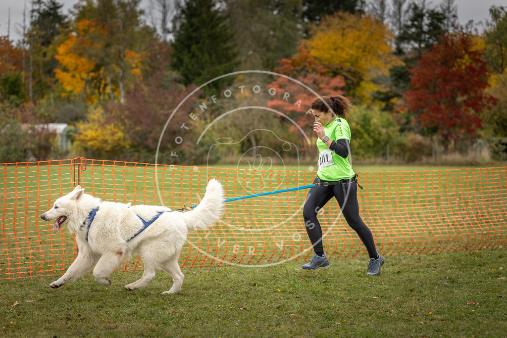 Pfotenfotografie_DV3A4195 | Hundefotografie, Tierfotograf, Pfotenfotografie, Fotoshooting Hund, Hunde Portrait, Hundesport, Hundeportraits, Heideshooting, Hunde, Sportfotograf, Hundefotograf, Turnierhundsport, THS,  - Realisiert mit Pictrs.com