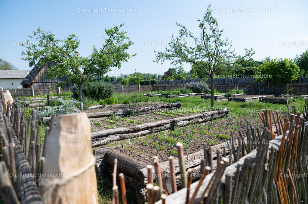DSC_3922 | Lorsch, Lauresham: Tag der Experimentellen Archäologie u.a. Jungfernfahrt f. den Lorscher Einbaum in der Weschnitz (11 Uhr), Beschießen von Panzerreiter-Rüstung (12 Uhr) Programm läuft bis 16.30 Uhr
,, Bild: Thomas Neu