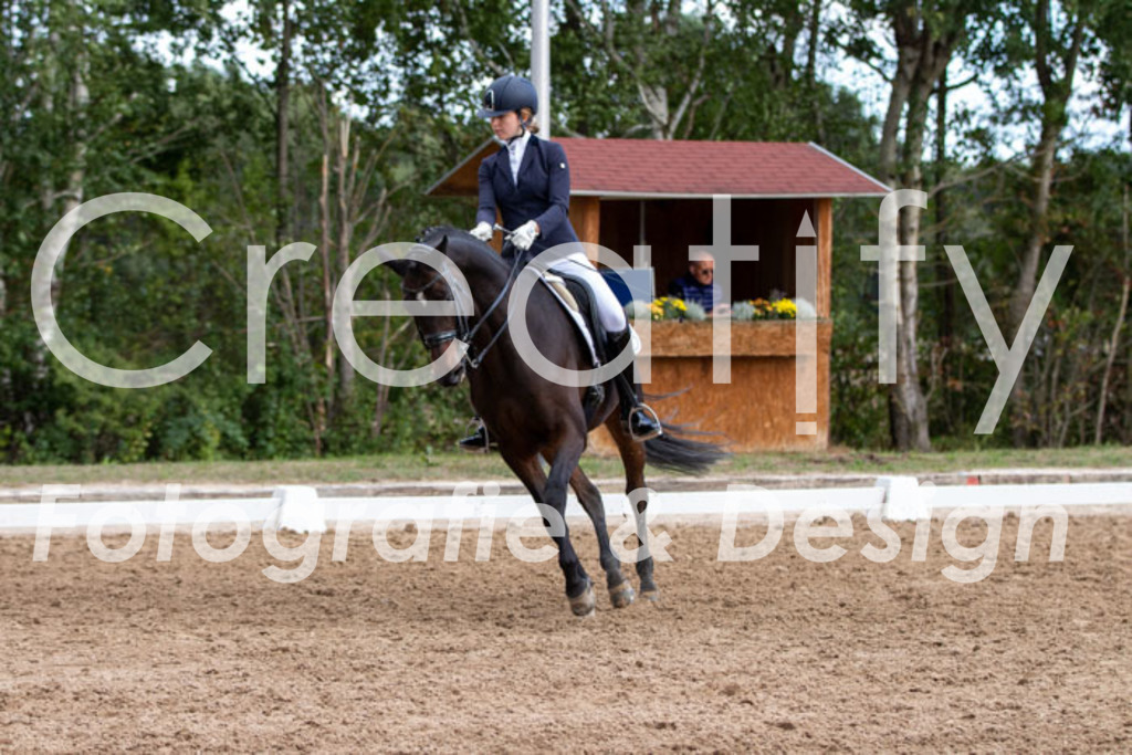 IMG_5424 | Creatify Fotografie