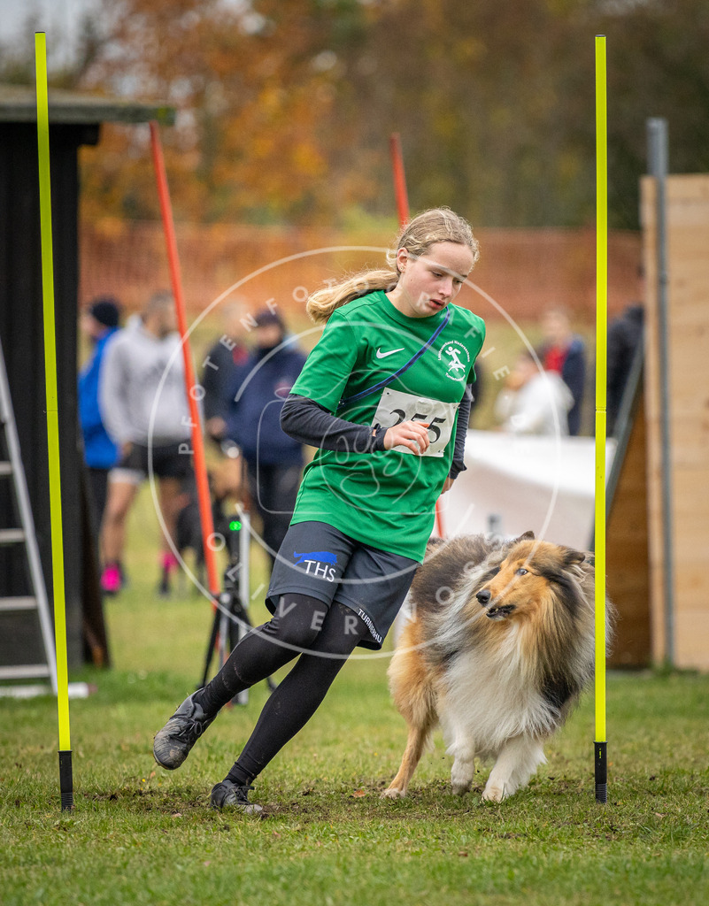 Pfotenfotografie_DV3A0641 | Hundefotografie, Tierfotograf, Pfotenfotografie, Fotoshooting Hund, Hunde Portrait, Hundesport, Hundeportraits, Heideshooting, Hunde, Sportfotograf, Hundefotograf, Turnierhundsport, THS,  - Realisiert mit Pictrs.com