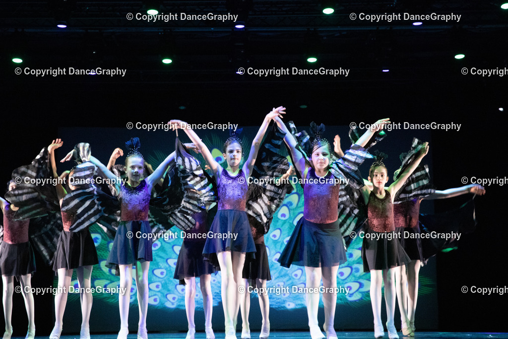 GPHY6152 | DanceGraphy - Realisiert mit Pictrs.com