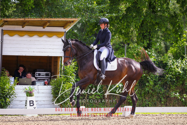 DKP41466 | Deine Turnierfotos vom Reitturnier online kaufen: Dressur, Springen & Siegerehrung. Professionelle Pferdefotografie aus dem Rheinland – als Download & Print.Alternative: Turnierfotograf für den Pferdesport: Finde deine Fotos von Dressur- und Springturnier