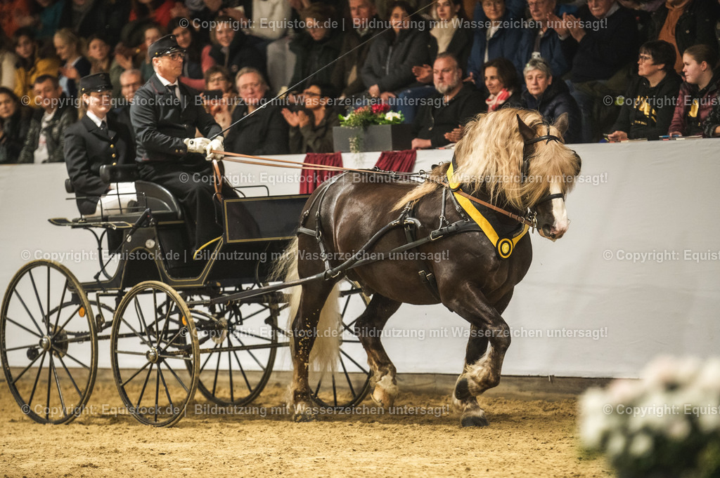 20240302_Hengstvorstellung_Marbach_TOMsPiC_0672 | equistock