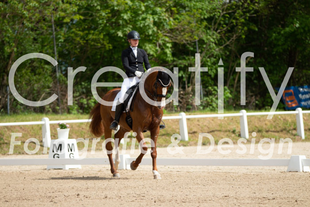 IMG_6402 | Creatify Fotografie