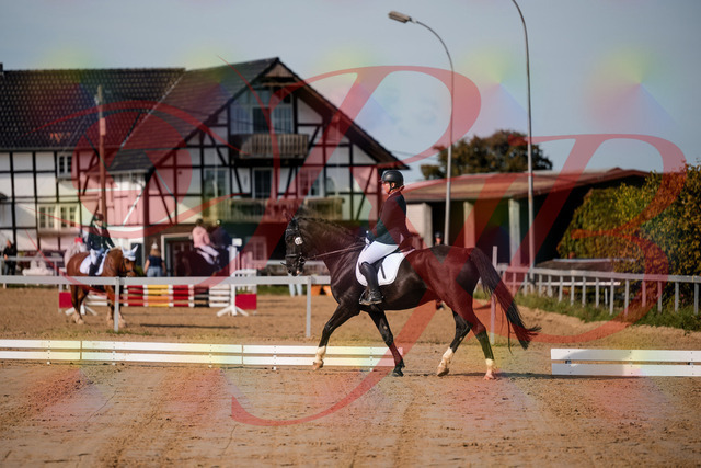 2026_10_03_Siefer-Hof_113447_Z63_20524308 | Professionelle Reitsport-, Turnier- und Eventfotografie von Robert Broda. Galerien mit ausgewählten und bearbeiteten Bildern direkt online ansehen und bestellen.