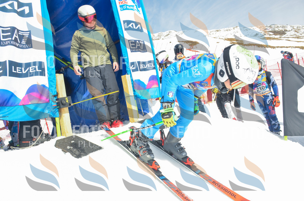 _ELE6581 | holidayphoto