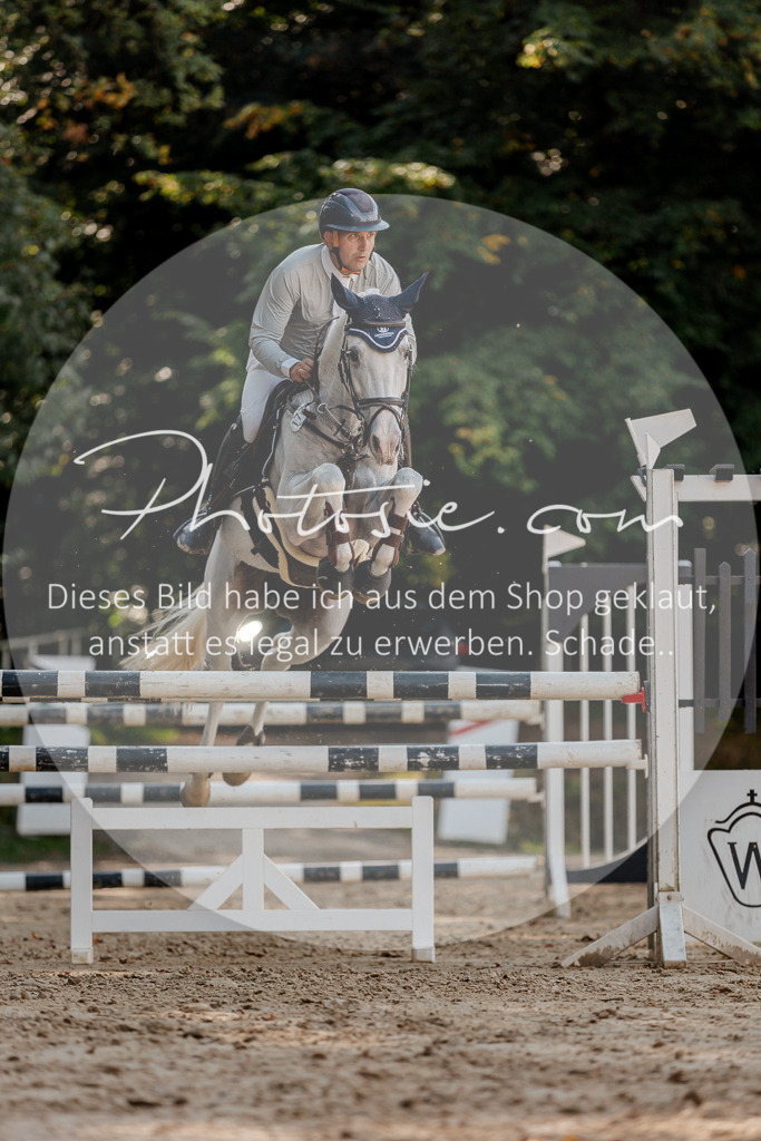 3I6A4644 | Stimmungsvolle Portraits und Reitsportfotografie im Ruhrgebiet und im Münsterland.

Pferdefotografie, Hundefotografie, Tierfotografie, Reportagen, Portraits von Tier und Mensch, Turnierfotografie in Bochum, Recklinghausen, Marl, Haltern am See, Dülmen.. - Realisiert mit Pictrs.com