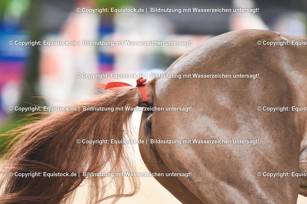 20251113_Preis-XXL-Sicherheit_TOMSPIC_0174 | Foto: Thomas Hartig