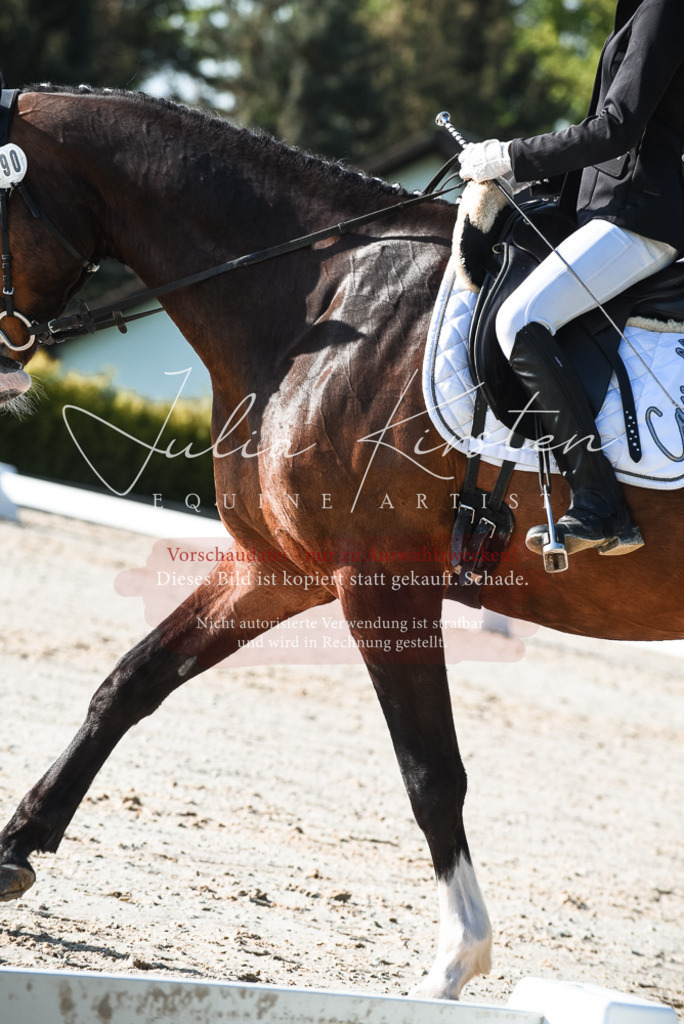 20230518_JK-Röhrsdorf-09-0489 | Pferde- und Turnierfotografie in Westsachsen. Pferdeportraits, Auftragszeichnungen und intuitive Kunst.