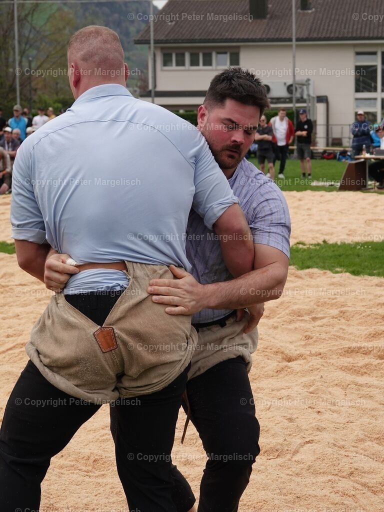 k-DSC06215 | Schwingen - Realisiert mit Pictrs.com