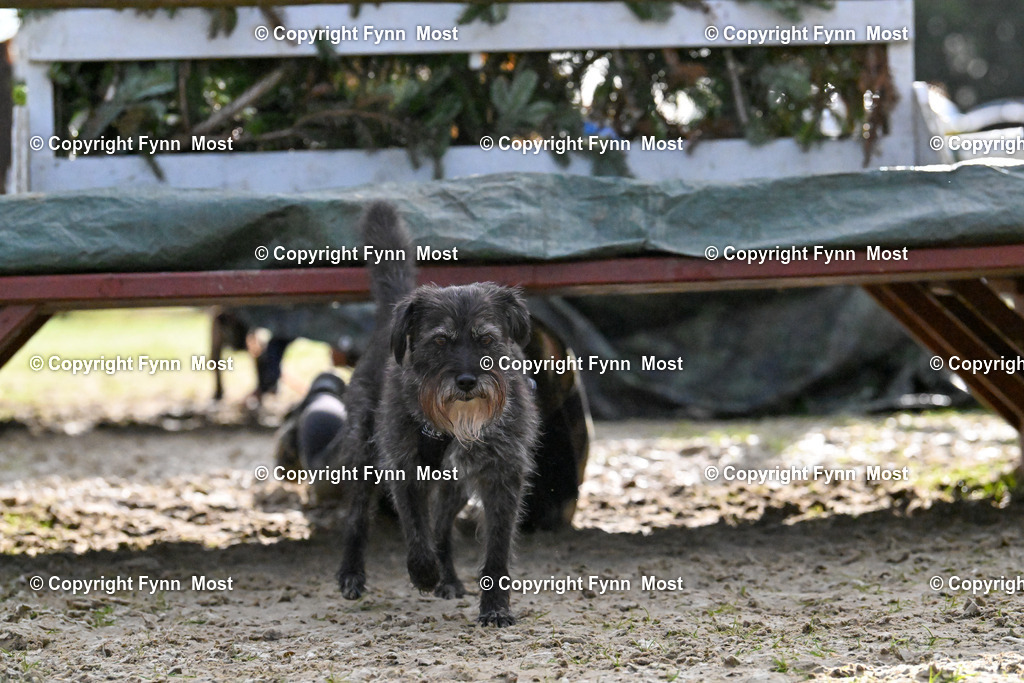 DSC_4558 | Hallo und herzlich Willkommen auf meiner Shop-Seite Fynn Most.

Ich wünsche Dir viel Spaß beim stöbern durch die Bilder, wenn Du Fragen hast oder Bilder vermisst, kannst du mir gerne eine Nachricht schreiben. - Realisiert mit Pictrs.com