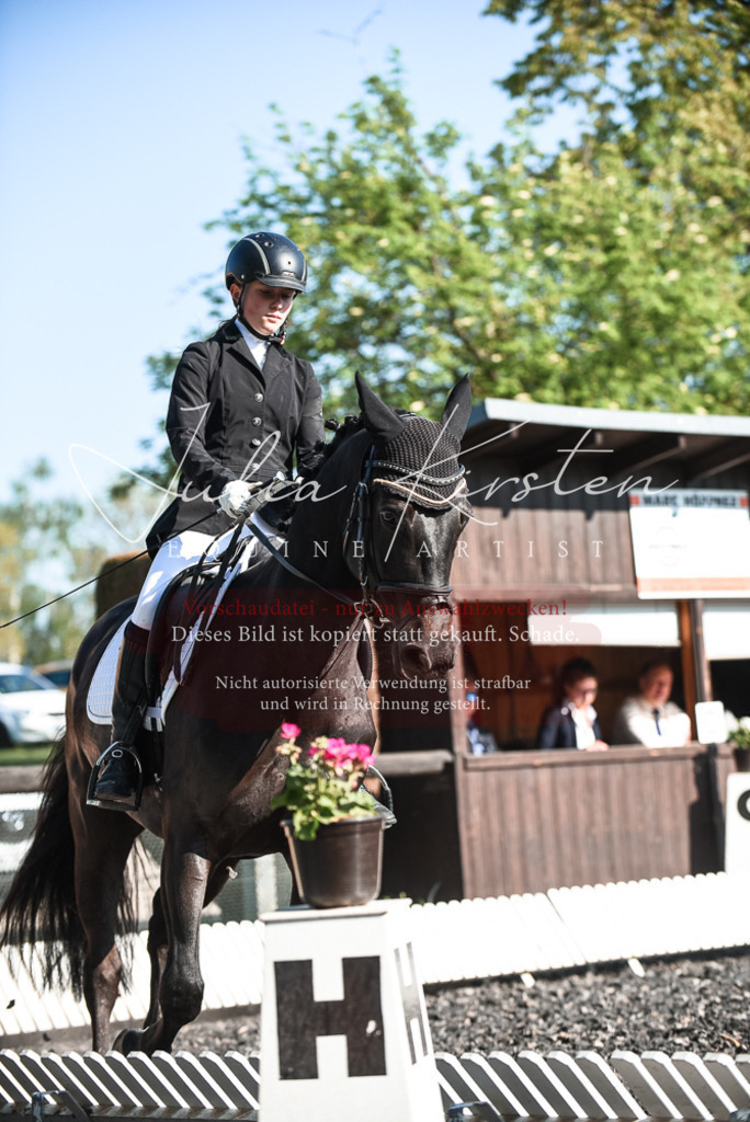 DSC_8319 | Pferde- und Turnierfotografie in Westsachsen. Pferdeportraits, Auftragszeichnungen und intuitive Kunst.