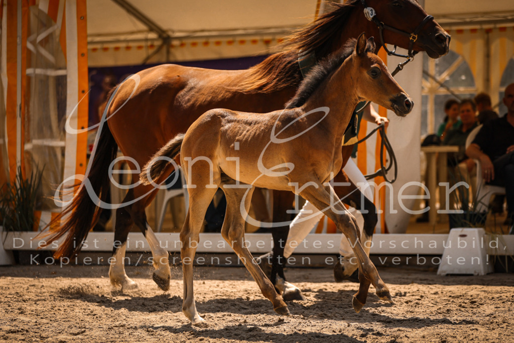 03.DoAB00086 | Leoni Ertmer Photography - Realisiert mit Pictrs.com