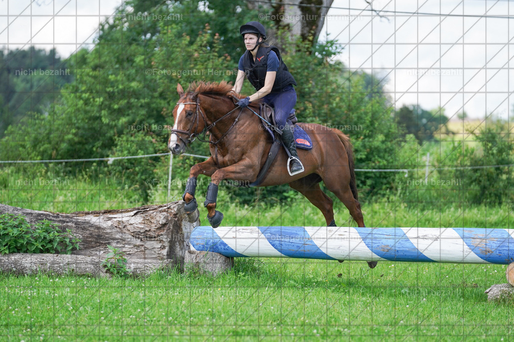 20240622-FAH07053 | Turnierfotografen Bayern, Reitsportbilder aus dem Geländekurs mit Felix Etzel auf dem Gut Waitzacker 2024