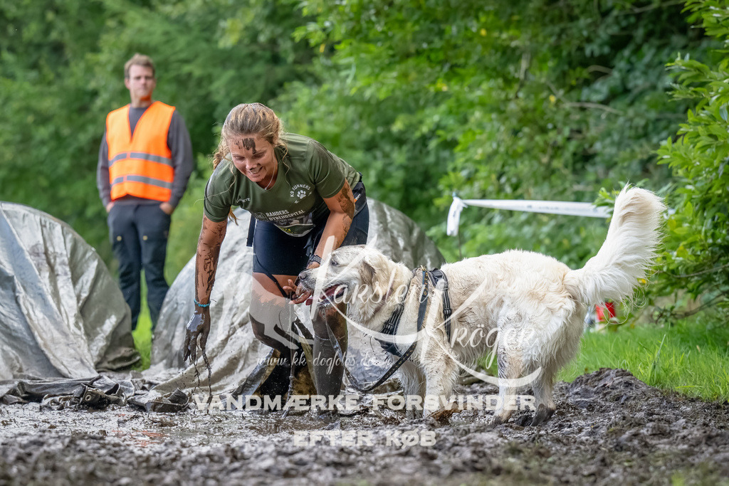 1153_ZZ90033-Bearbeitet | kk-dogfotos