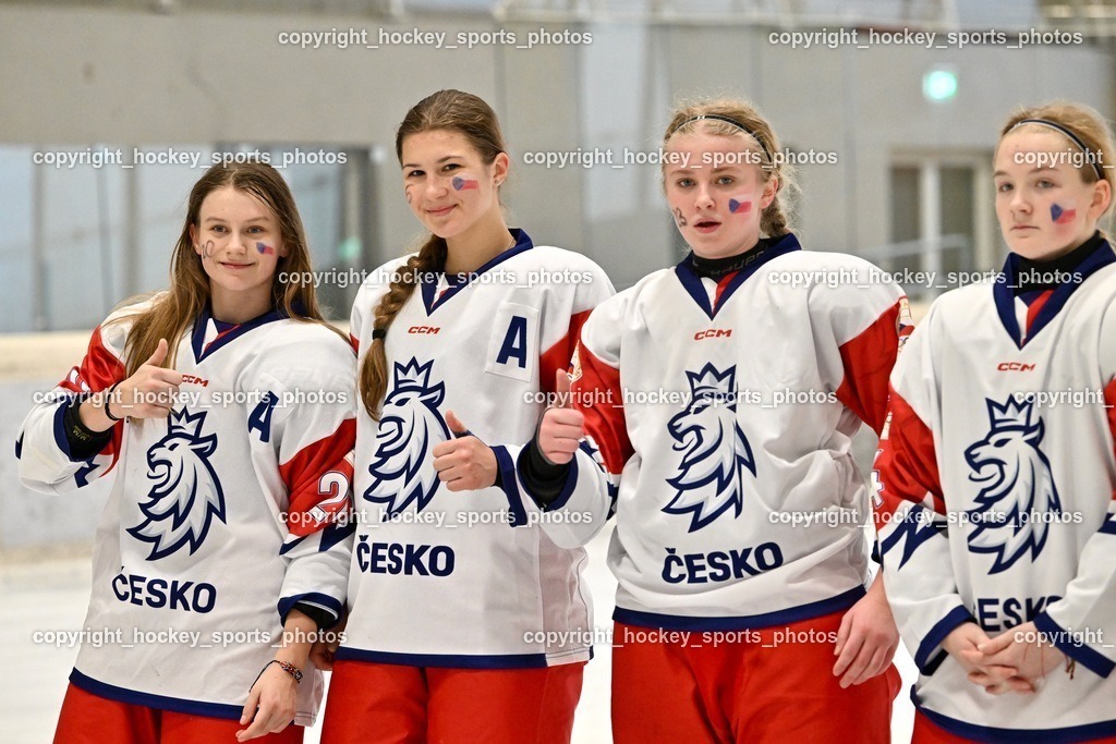 Z9B_4103 | hockey sports photos, Pressefotos, Sportfotos, hockey247, win 2day icehockeyleague, Handball Austria, Floorball Austria, ÖVV, Kärntner Eishockeyverband, KEHV, KFV, Kärntner Fussballverband, Österreichischer Volleyballverband, Alps Hockey League, ÖFB, 