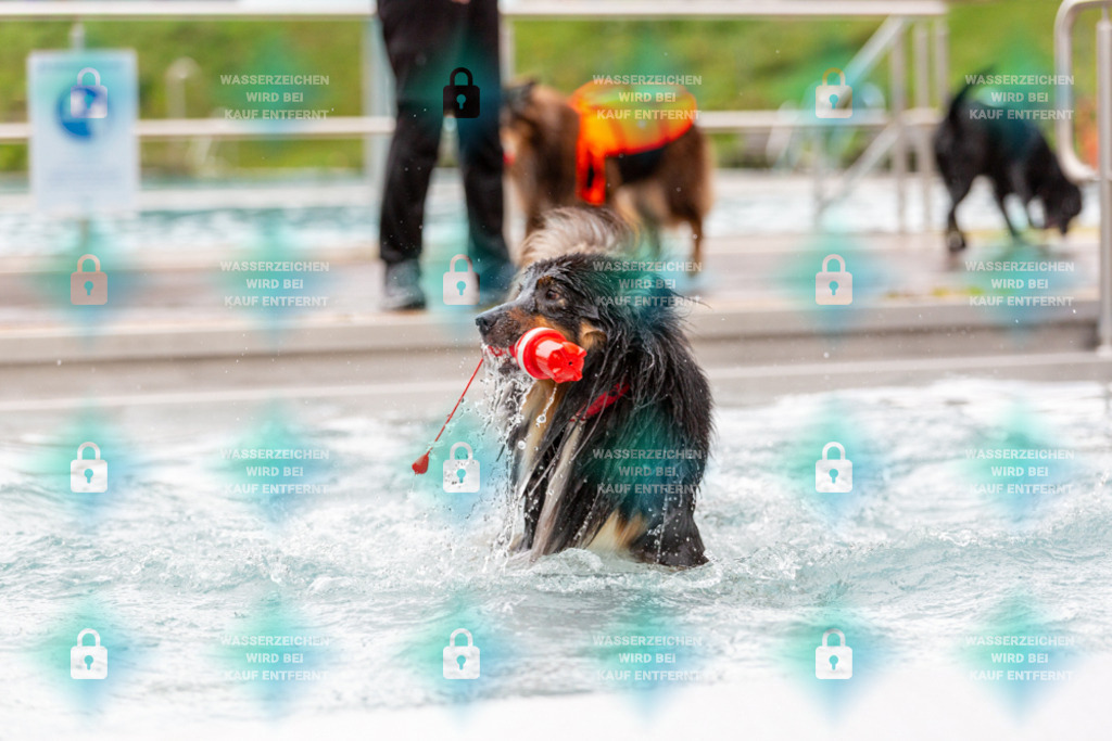 _HP_6178_1000o | HetPix, HetPix Fotodesign, Fotografie, Fotodesign, Webshop, Sportfotografie, Portraitfotografie, Onlineshop, Sportfotografie, Polch, Motorsportfotografie, Eventfotografie