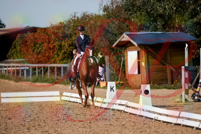2026_10_03_Siefer-Hof_123438_Z63_52907490 | Professionelle Reitsport-, Turnier- und Eventfotografie von Robert Broda. Galerien mit ausgewählten und bearbeiteten Bildern direkt online ansehen und bestellen.