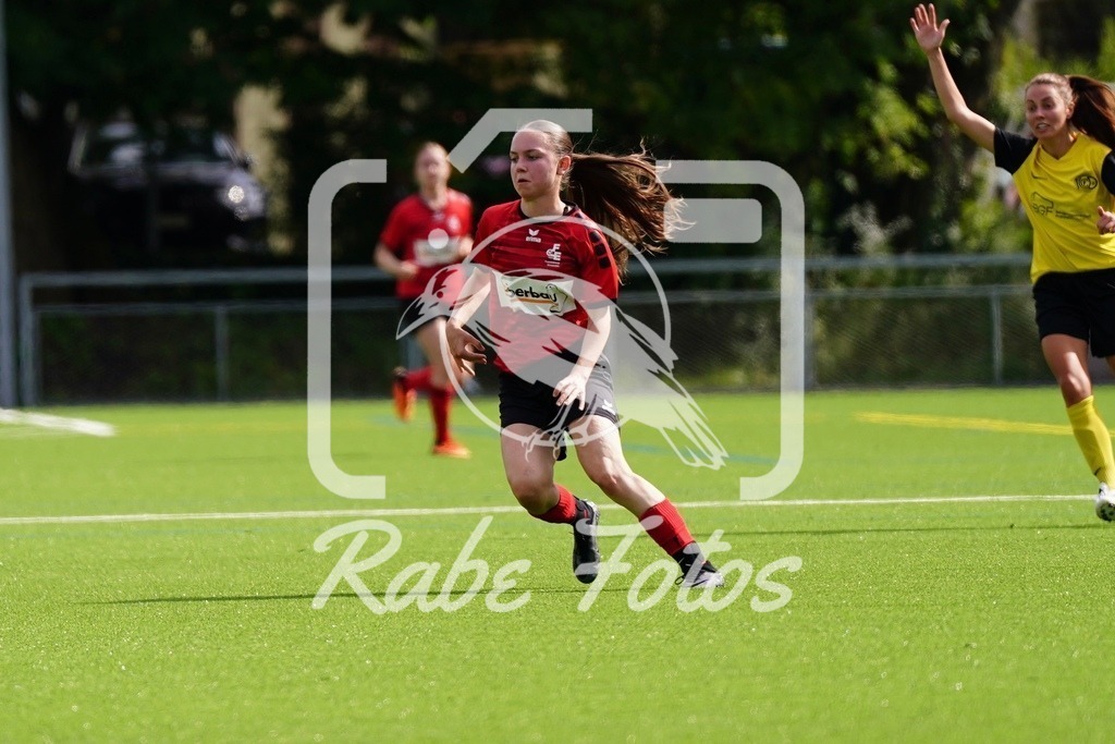 SON08805 | rabefotos