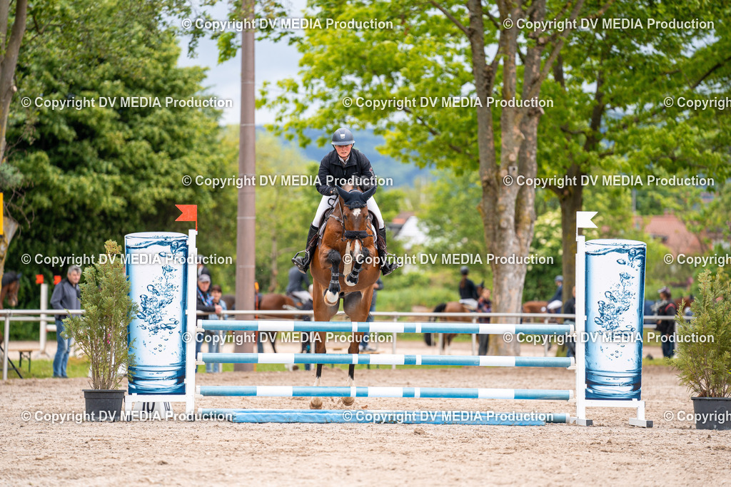 Eppelheim Tag 1-39 | dv-media-shop - Realisiert mit Pictrs.com