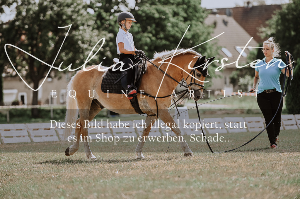 DSC_7776 | Pferde- und Turnierfotografie in Westsachsen. Pferdeportraits, Auftragszeichnungen und intuitive Kunst.