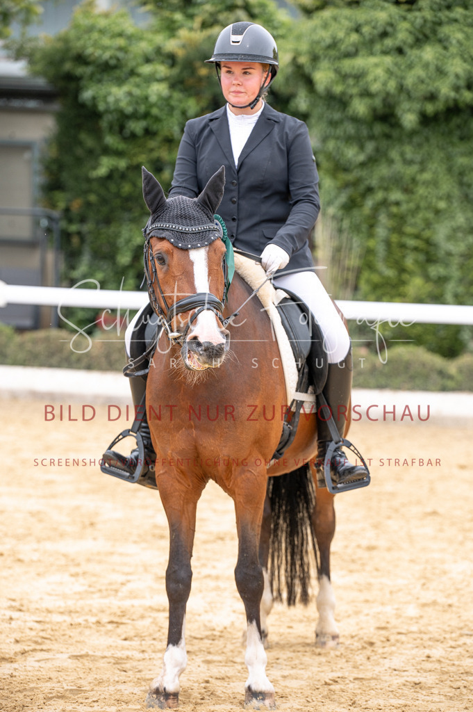 Schugtsche-Aluta25-40.DressurprfA_-500 | Schugtsche Fotografie - Realisiert mit Pictrs.com