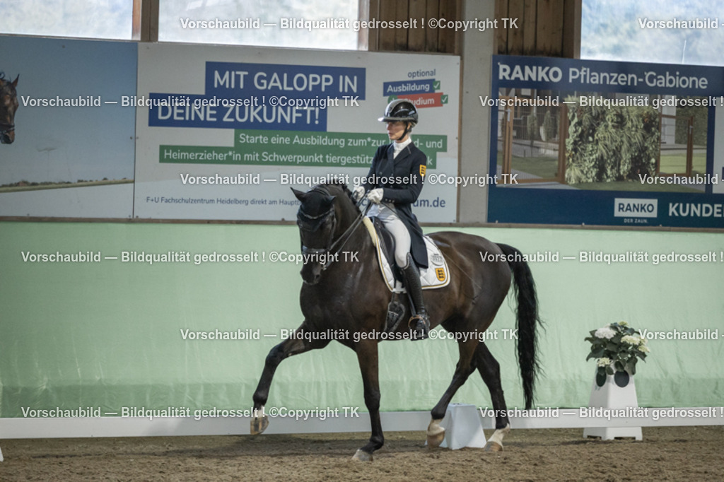 _D5A6955 | Emotionale Pferde- & People-Fotografie rund um Heidelberg, Leimen & Umgebung. Natürliche Fotos von Pferd, Mensch & Familie. Jetzt Termin sichern!