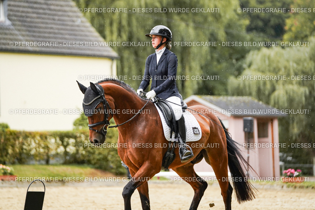 DSC07250 | Pferdegrafie