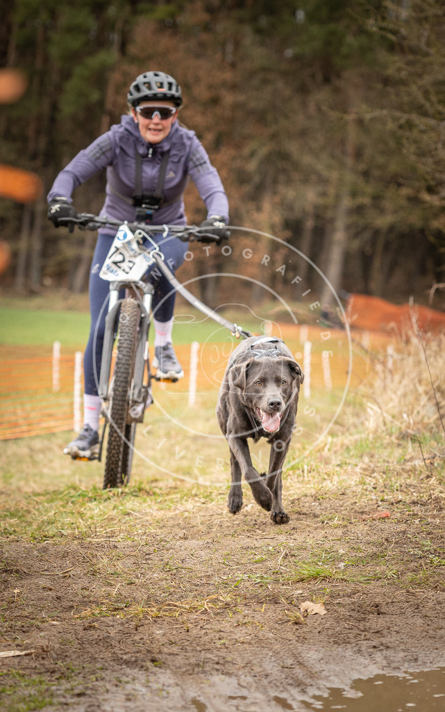 DV3A1138 | Hundefotografie, Tierfotograf, Pfotenfotografie, Fotoshooting Hund, Hunde Portrait, Hundesport, Hundeportraits, Heideshooting, Hunde, Sportfotograf, Hundefotograf, Turnierhundsport, THS,  - Realisiert mit Pictrs.com