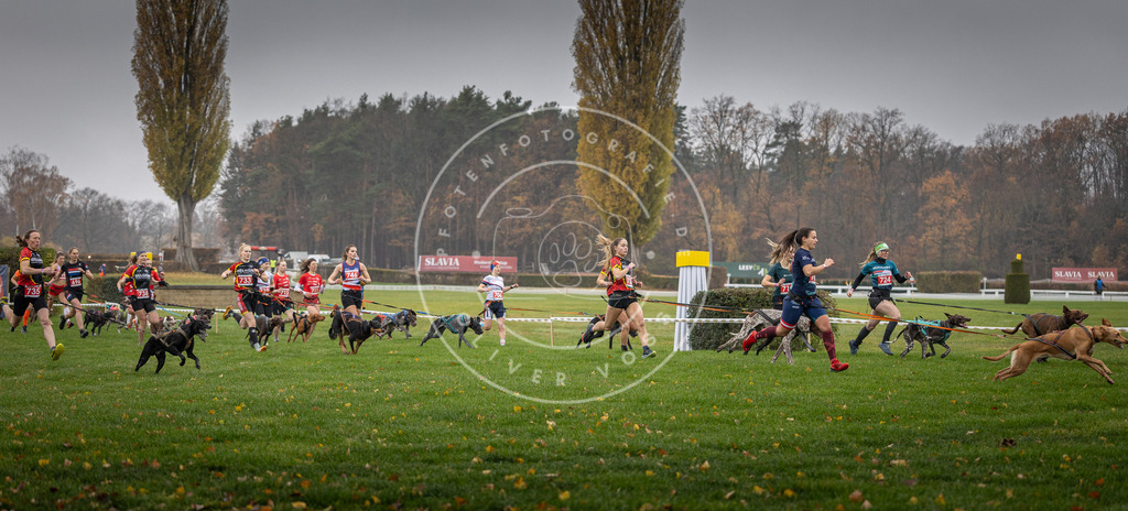 CaniXpix_DV3A8781 | Hundefotografie, Tierfotograf, Pfotenfotografie, Fotoshooting Hund, Hunde Portrait, Hundesport, Hundeportraits, Heideshooting, Hunde, Sportfotograf, Hundefotograf, Turnierhundsport, THS,  - Realisiert mit Pictrs.com