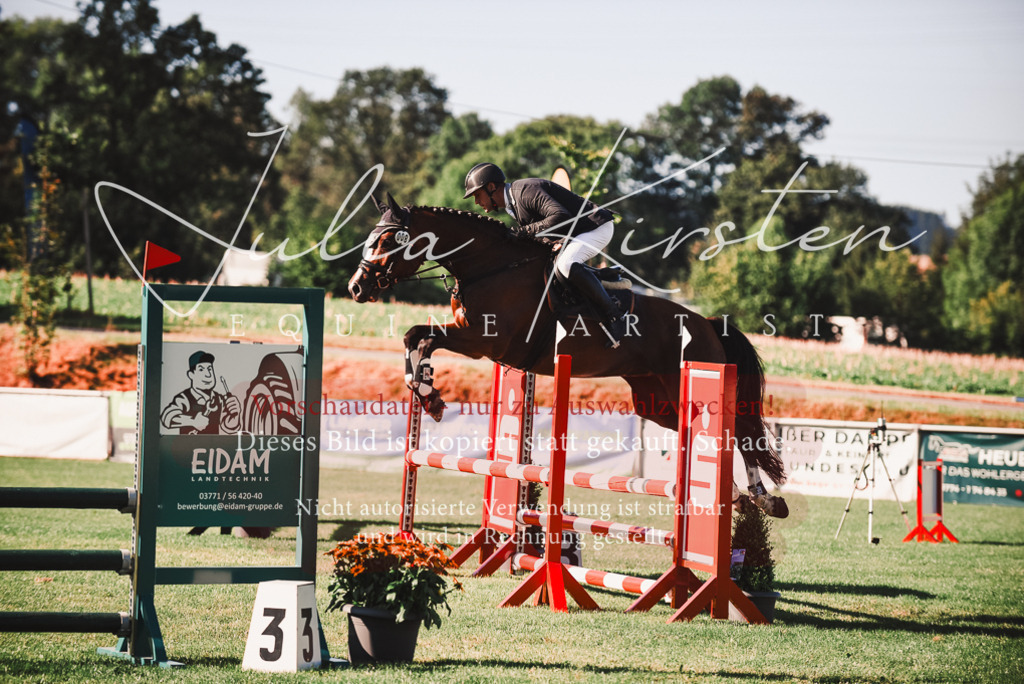 DSC_2208 | Pferde- und Turnierfotografie in Westsachsen. Pferdeportraits, Auftragszeichnungen und intuitive Kunst.