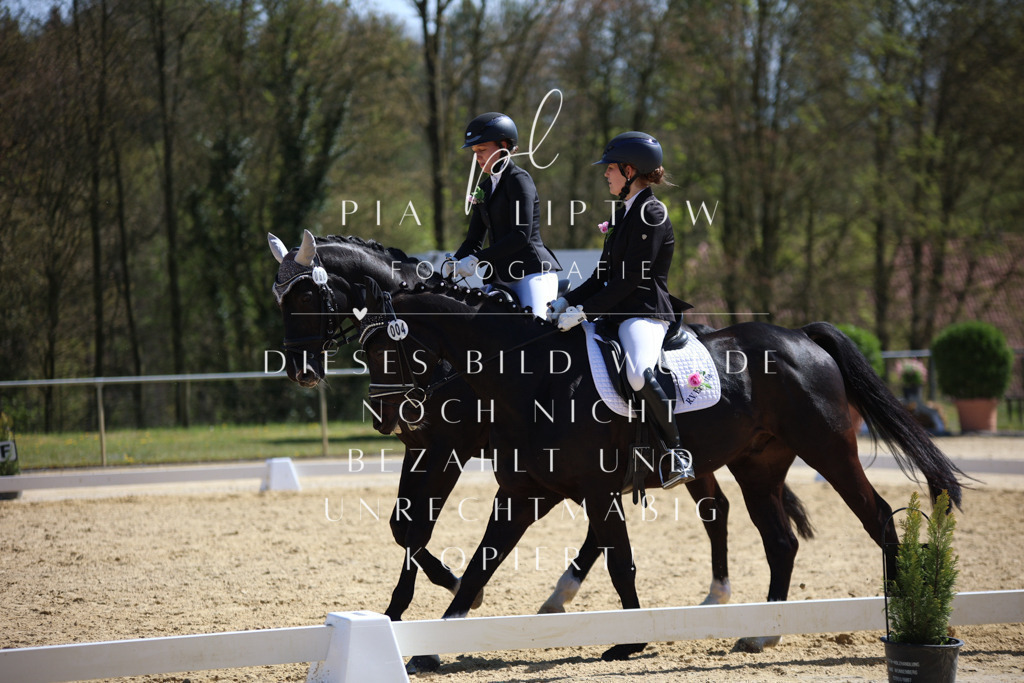 IMGT1859 | pl-fotografie