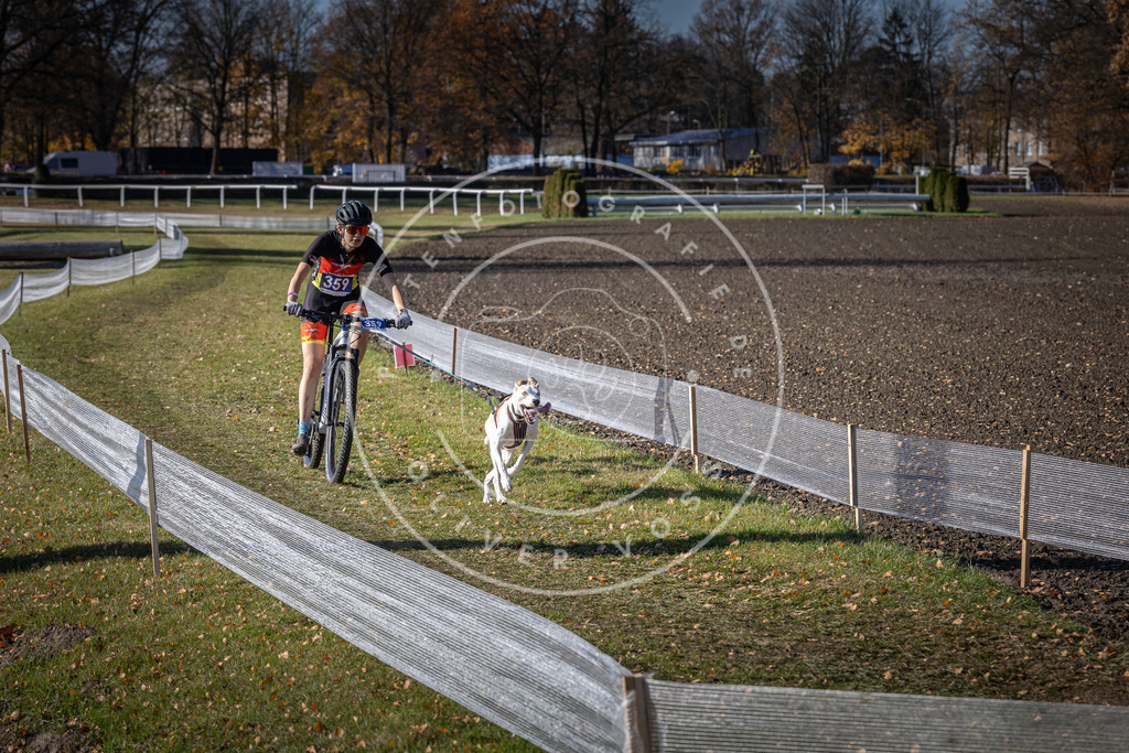 CaniXpix_DV3A7347 | Hundefotografie, Tierfotograf, Pfotenfotografie, Fotoshooting Hund, Hunde Portrait, Hundesport, Hundeportraits, Heideshooting, Hunde, Sportfotograf, Hundefotograf, Turnierhundsport, THS,  - Realisiert mit Pictrs.com