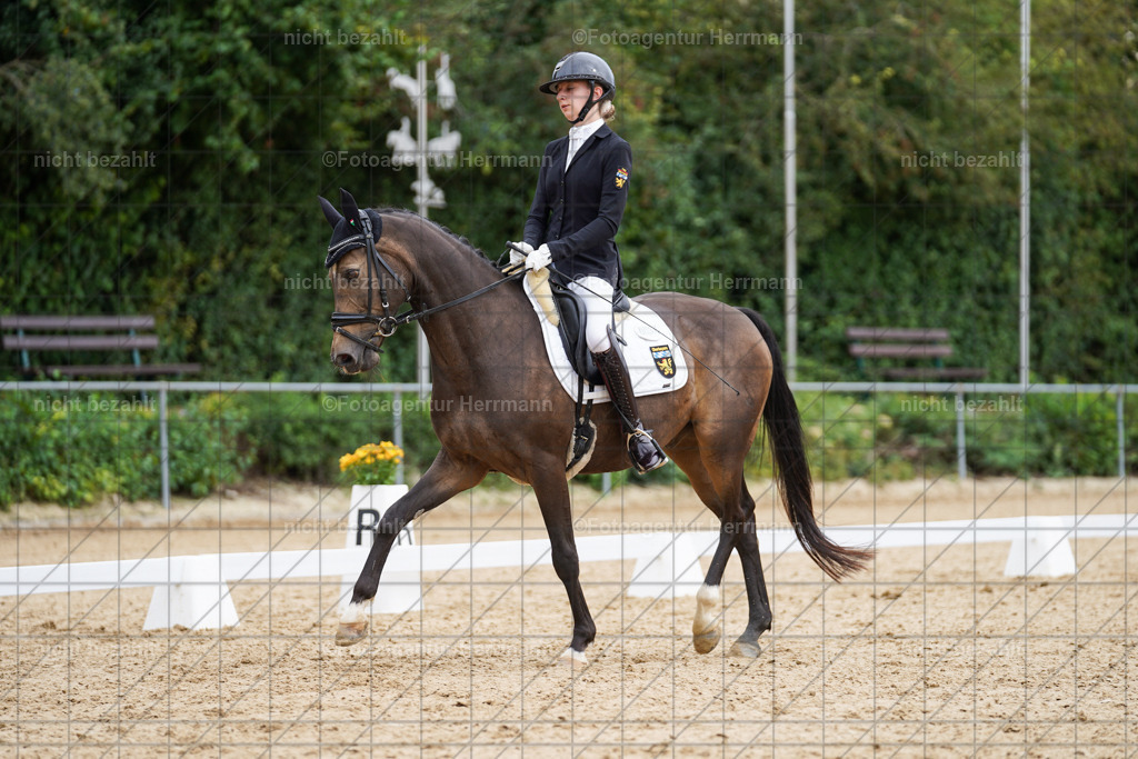 20240825-FAH00006 | Turnierbilder, Reitsportfotos, LAPO, Landesponyturnier, Turnierfotografen Bayern