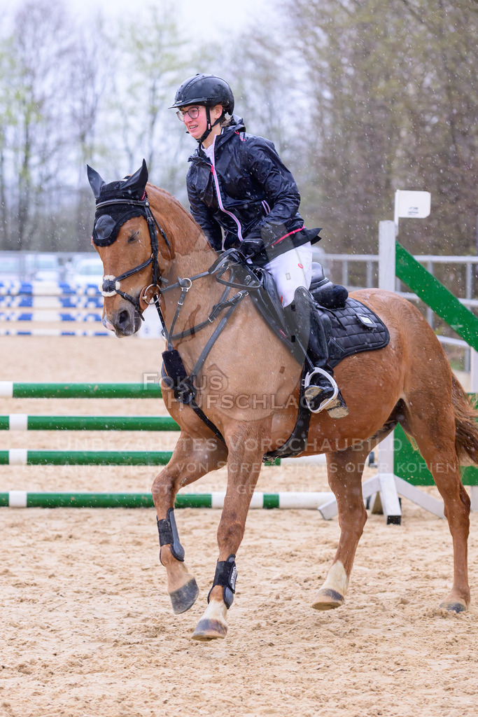 10042026-Mammendorf-Prfg13-0770 | Fokus Hufschlag Fotografie - Realisiert mit Pictrs.com