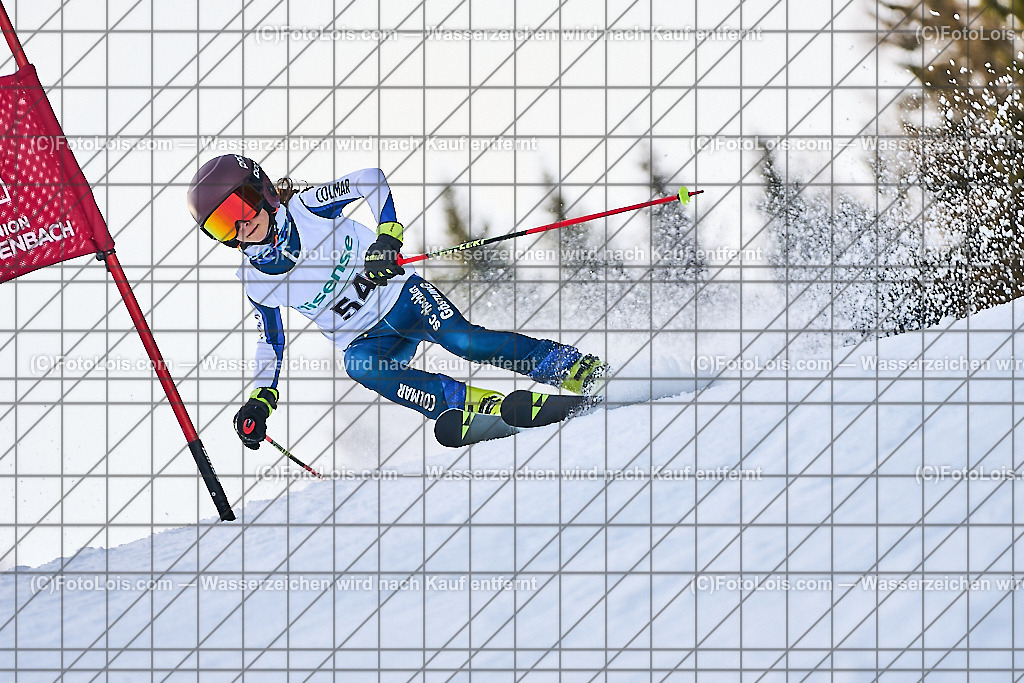 ALP4199_KinderVergleich-RTL-II_Trattenbach_Waschenegger Anna | NÖ Landeskindervergleichskampf-Riesentorlauf auf dem Feistritzsattel in zwei Durchgängen, Sa 25. Jänner 2025.