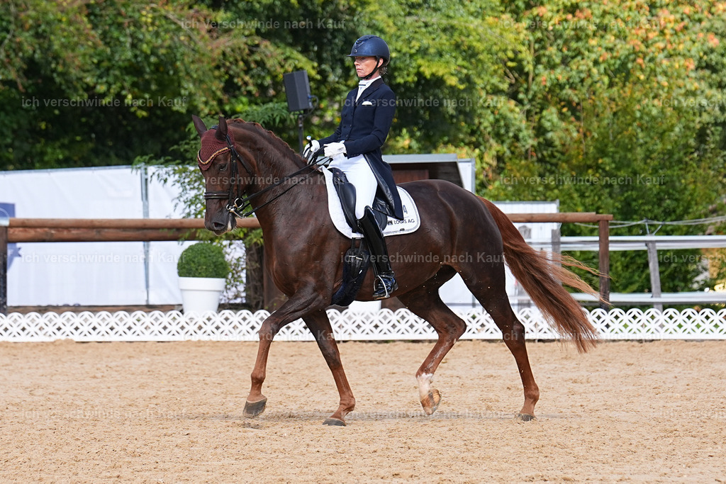 09_2-094-DRESSUR  S_  -Marixx-5969 | working equitationturnier fotograf videograf stoibphotography marixx film working equitation deutschland reitsport turnierfotografie eventfotografie equestrian events
