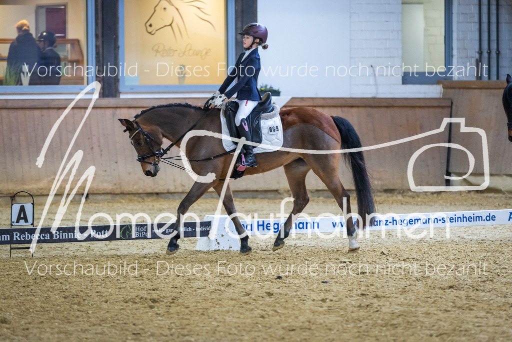 Sth-WBO25-RWBST-010 | MomenTaufnahmen Pferdesportfotos