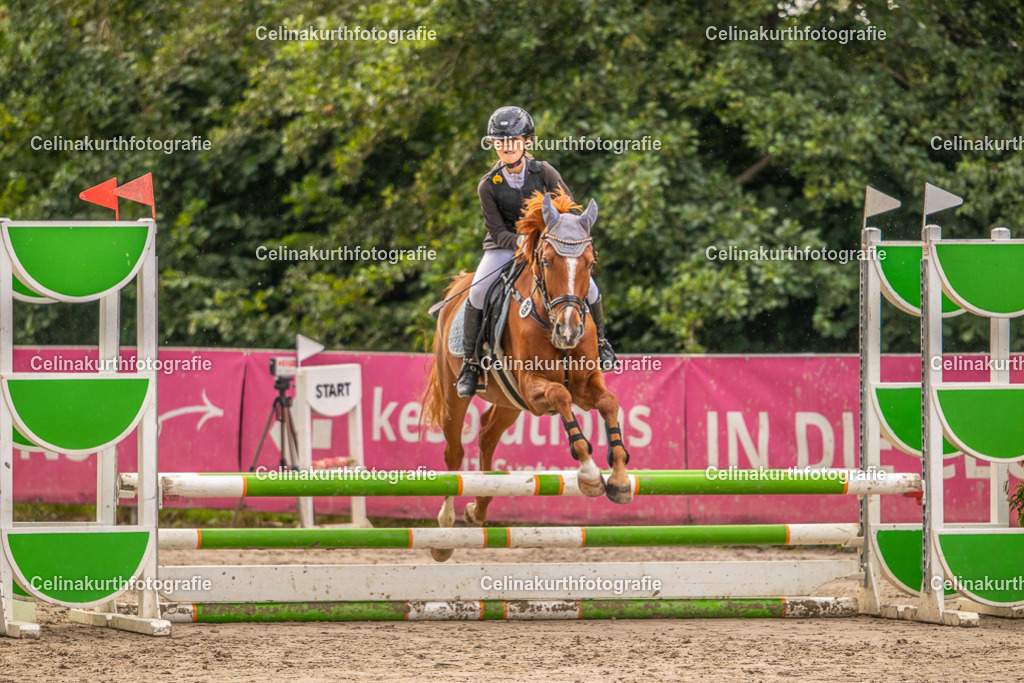 IMG_4549 | Celinakurthfotografie - Realisiert mit Pictrs.com