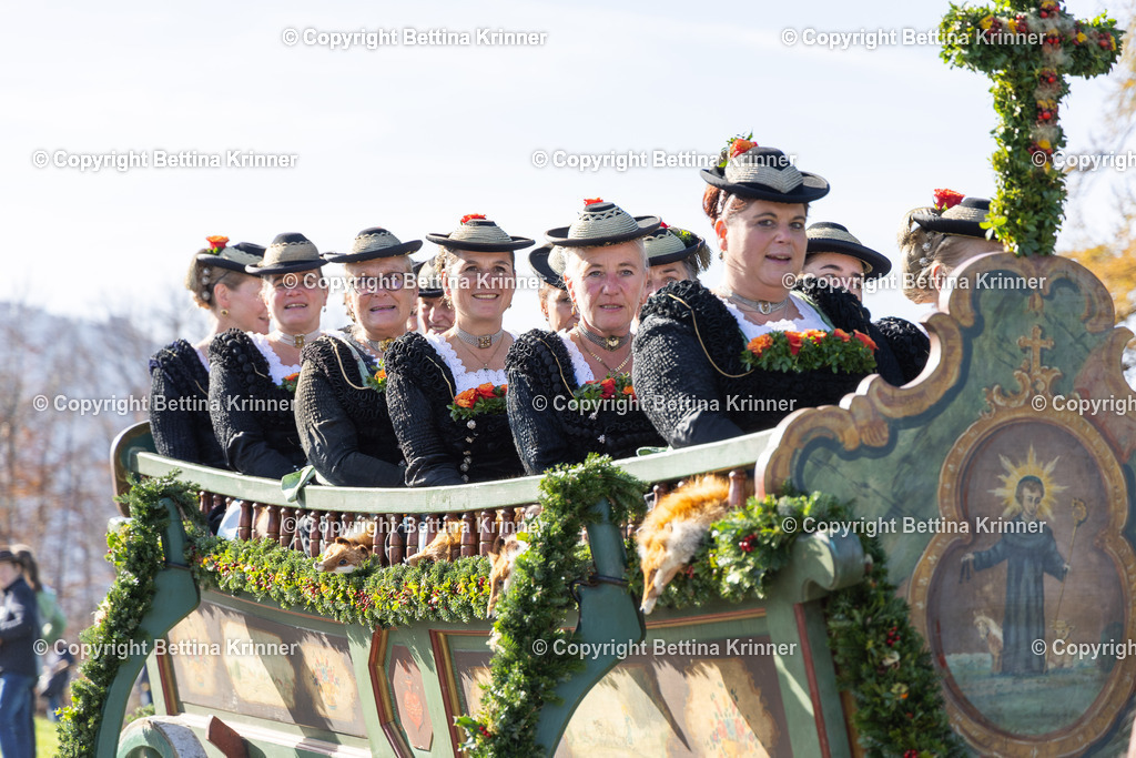 LBT24-1424 | foto-bettina-krinner - Realisiert mit Pictrs.com